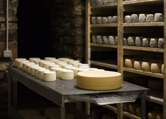 Cheese farm