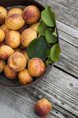 A plate of ripe apricots. Fresh apricots home in old iron bowl on the old burnt wooden table. Top view, rustic style. Natural light.
