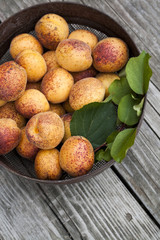 A plate of ripe apricots. Fresh apricots home in old iron bowl on the old burnt wooden table. Top view, rustic style. Natural light.
