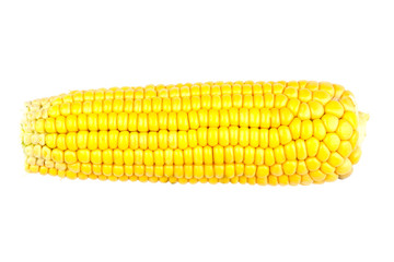 cob of corn on white