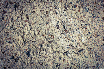 Abstract cement wall texture. Texture of concrete. 