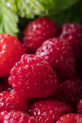  Ripe and juicy fresh picked raspberries .