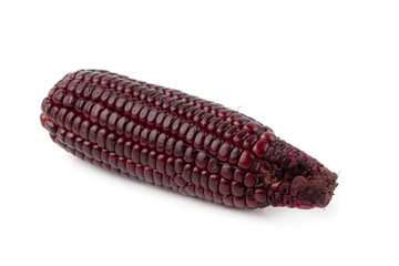 Fresh purple corns isolated on a white background