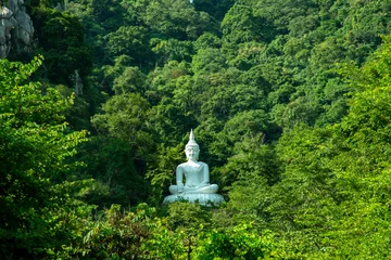 Papier Peint photo Lavable Bouddha White Buddha Image on hill surrounded by trees