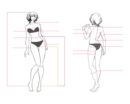 Woman body measurement chart. Scheme for measurement human body for sewing clothes. Female figure: front view, back view. Template for dieting, fitness. The vector drawing without background.