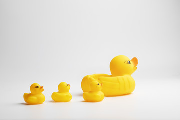 Baby ducks toys with mom