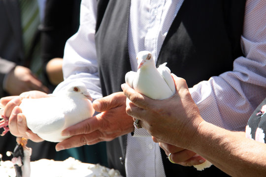 Zwei Tauben in den H&auml;nden von anonymen Personen