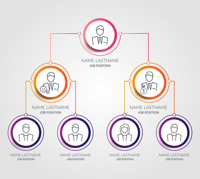 Business hierarchy circle chart infographics. Corporate organizational structure graphic elements. Company organization branches template. Tree diagram
