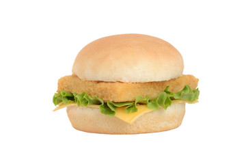 isolated fillet fish sandwich with lettuce and cheese