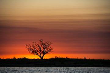 Silueta en el atardecer