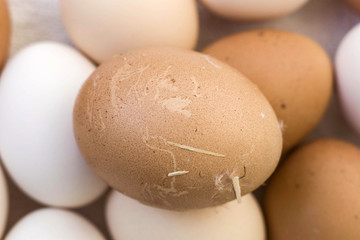 real natural organic village eggs, healthy village eggs, white and yellow village eggs on black ground,
