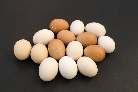 natural village hen egg for health.

