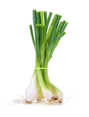 Green onion isolated on the white background