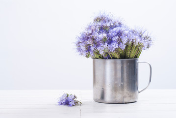Phacelia flowers in tin cup, white wood table background