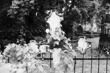 Old grave cross on the abandoned cemetery. black and white.