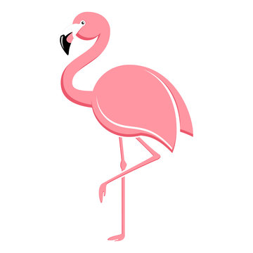 Flamingo stehend - flamingo vector illustration 