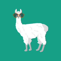 Llama in round glasses