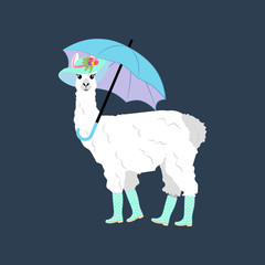 Llama under umbrella