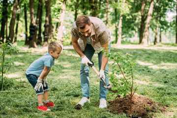father and son planting tree with shovel at park
