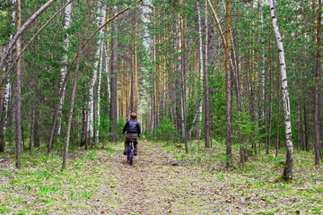a little boy travels through the forest with a bike