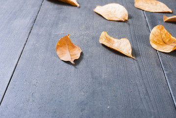 dried bay leaves on black wooden table