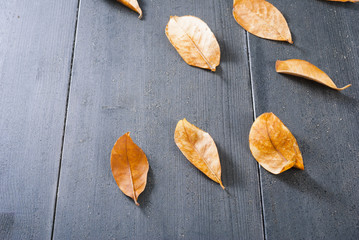 dried bay leaves on black wooden table