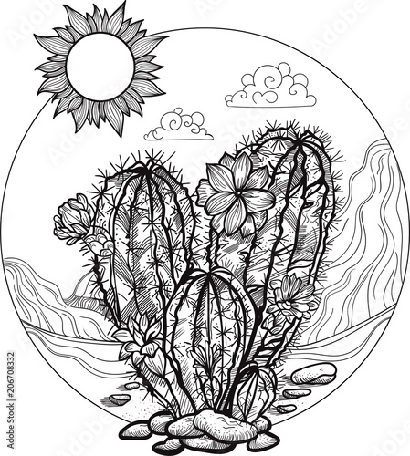 Landscape Of The Desert In A Circle Hand Drawn Flowering Cactus Landscape Of The Desert In A Circle Hand Drawn Flowering Cactus Day Graphics For Coloring Vector Ilration