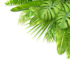 Fototapeta premium Tropical leaves in a corner. Foliage of exotic plants. Vector realistic illustration for decorating a greeting card, invitation or flyer.