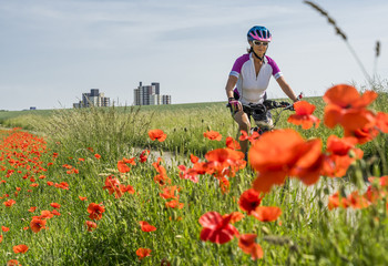 nice senior woman riding a e-Mountainbike in the suburb of a big city, surrounded by green fields and red poppies