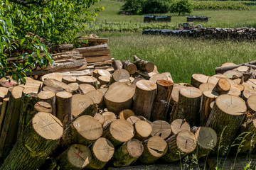 Brennholz aufgesetzt © focus finder