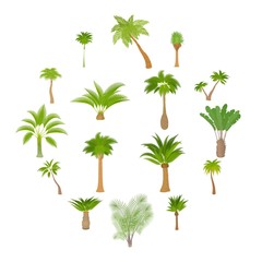 Different palm trees icons set. Cartoon illustration of 16 different palm trees vector icons for web
