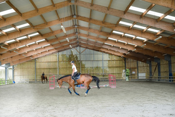 belle cavalière rênes longues 