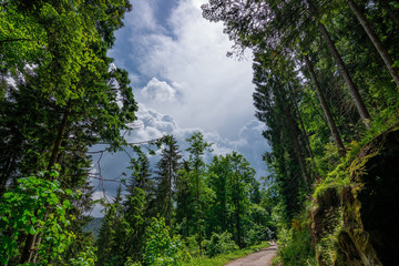 Fototapeta premium A path leading into a stormy cloud. Black Forest / Schwarzwald, Germany