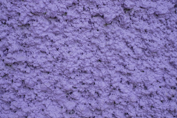 Purple wall used for background. soft focus.