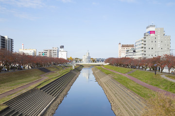 Fototapeta na wymiar 水戸市内を流れる桜川