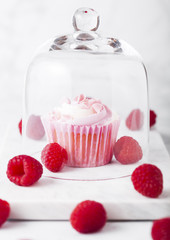 Obraz na płótnie Canvas Cupcake muffin with raspberry cream dessert