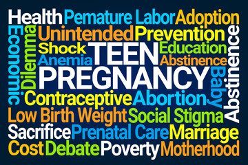 Teen Pregnancy Word Cloud