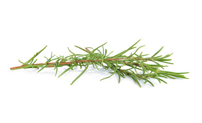 rosemary isolated on white background