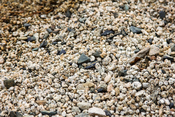 Sand of a mountain lake