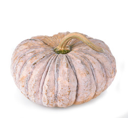 pumpkin isolated on white background