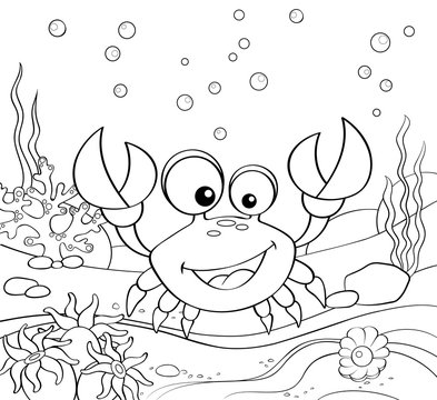 Cartoon crab. Underwater world. Black and white vector illustration for coloring book
