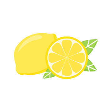 Yellow lemon citrus fruit vector illustration. Whole piece and slice of lemon with green leaves.
