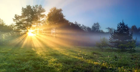 Foto auf Acrylglas Panoramalandschaft mit Sonne und Wald und Wiese bei Sonnenaufgang © yanikap