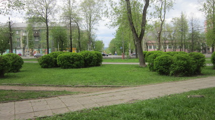 PERM,FLOWER BEDS IN THE VILLAGE