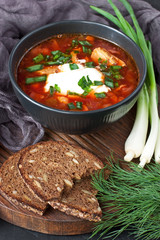 Ukrainian and russian national red soup borscht