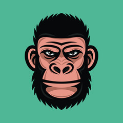 Head monkey illustration