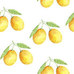 Watercolor seamless pattern orange fruit. Fresh illustration. Painting hand drawn art color juicy element on white background
