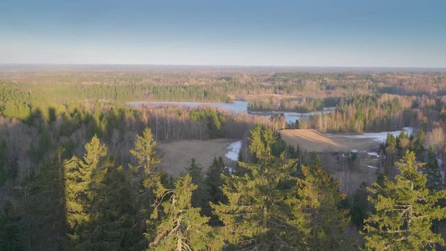 17884_Aerial_view_of_the_tall_trees_in_the_forest_in_Munamagi_Estonia.mp4