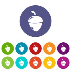 Acorn icons color set vector for any web design on white background