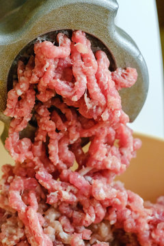 Close up meat grinder or mincing-machine with mincemeat in. Showing the forcemeat process.